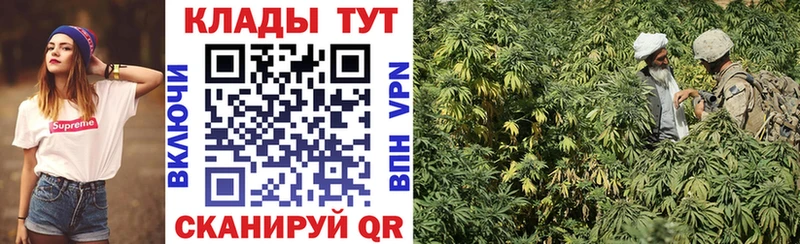 Виды наркоты Киржач Гашиш  Канабис  СОЛЬ  МЕФ 