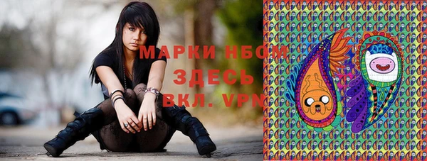 индика Волосово