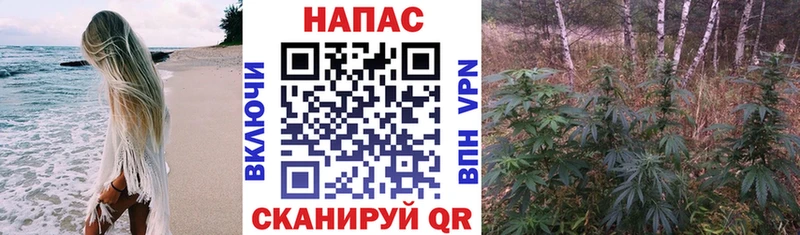 Каннабис White Widow Киржач