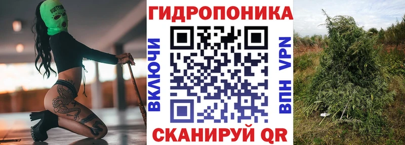Бошки марихуана VHQ Киржач